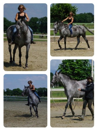 11032729_10155779463610313_1131258917860687307_o